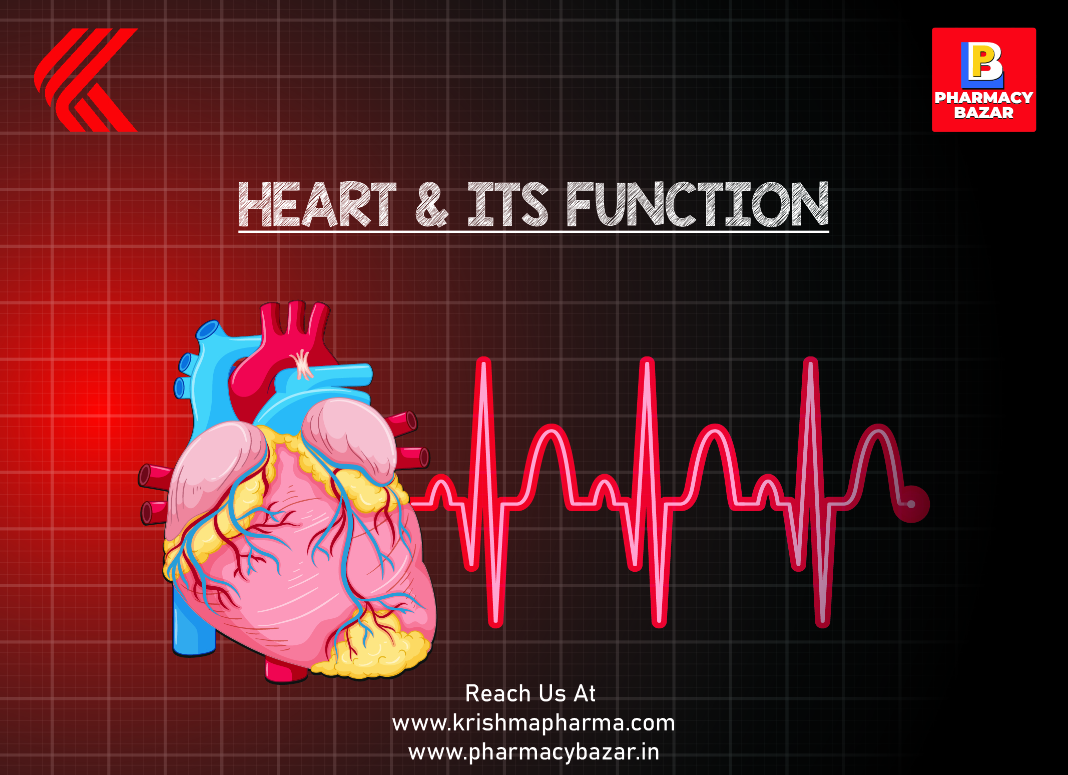 HEART & ITS FUNCTIONS